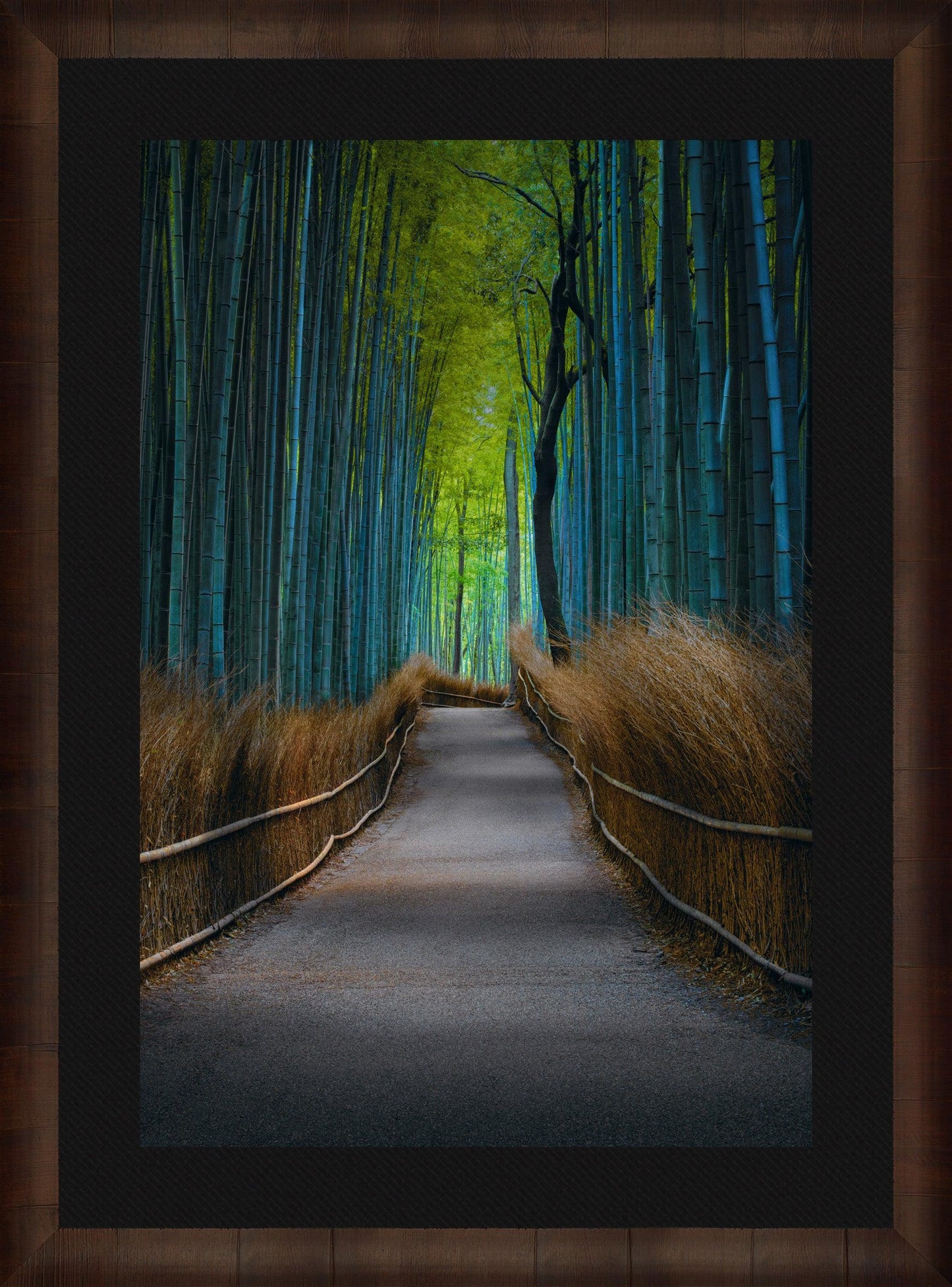 Kyoto Dreaming