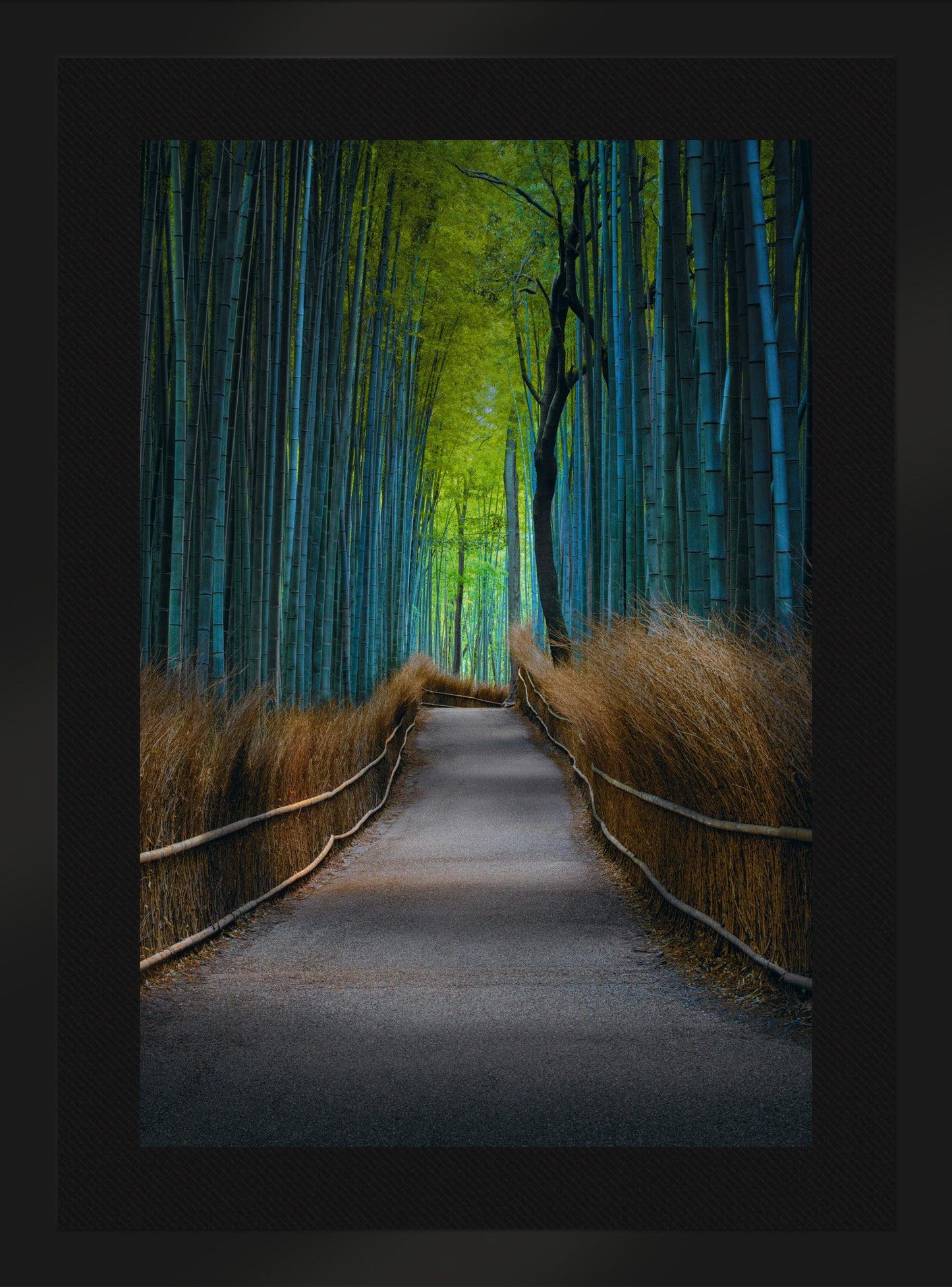 Kyoto Dreaming
