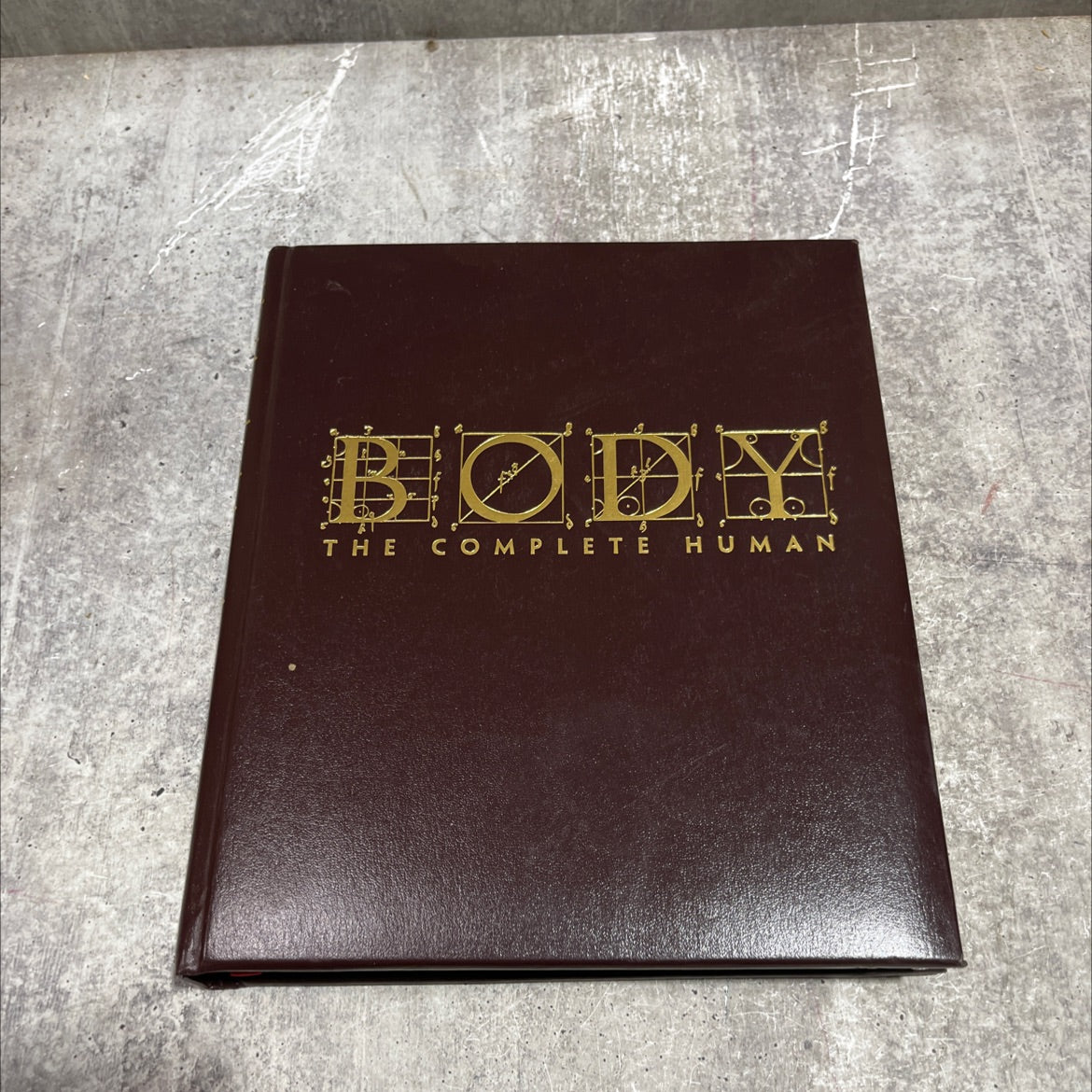 body: the complete human book, by Patricia Daniels, 2007 Leather