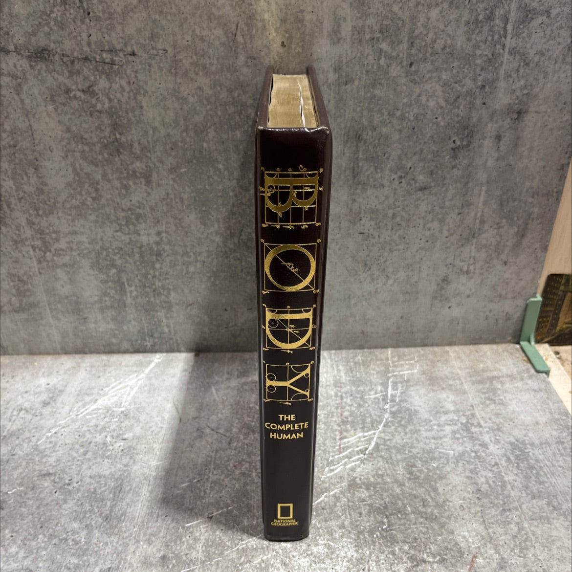 body: the complete human book, by Patricia Daniels, 2007 Leather
