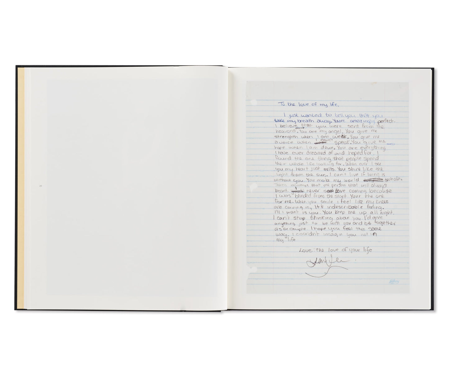 NIAGARA by Alec Soth [SPECIAL EDITION]