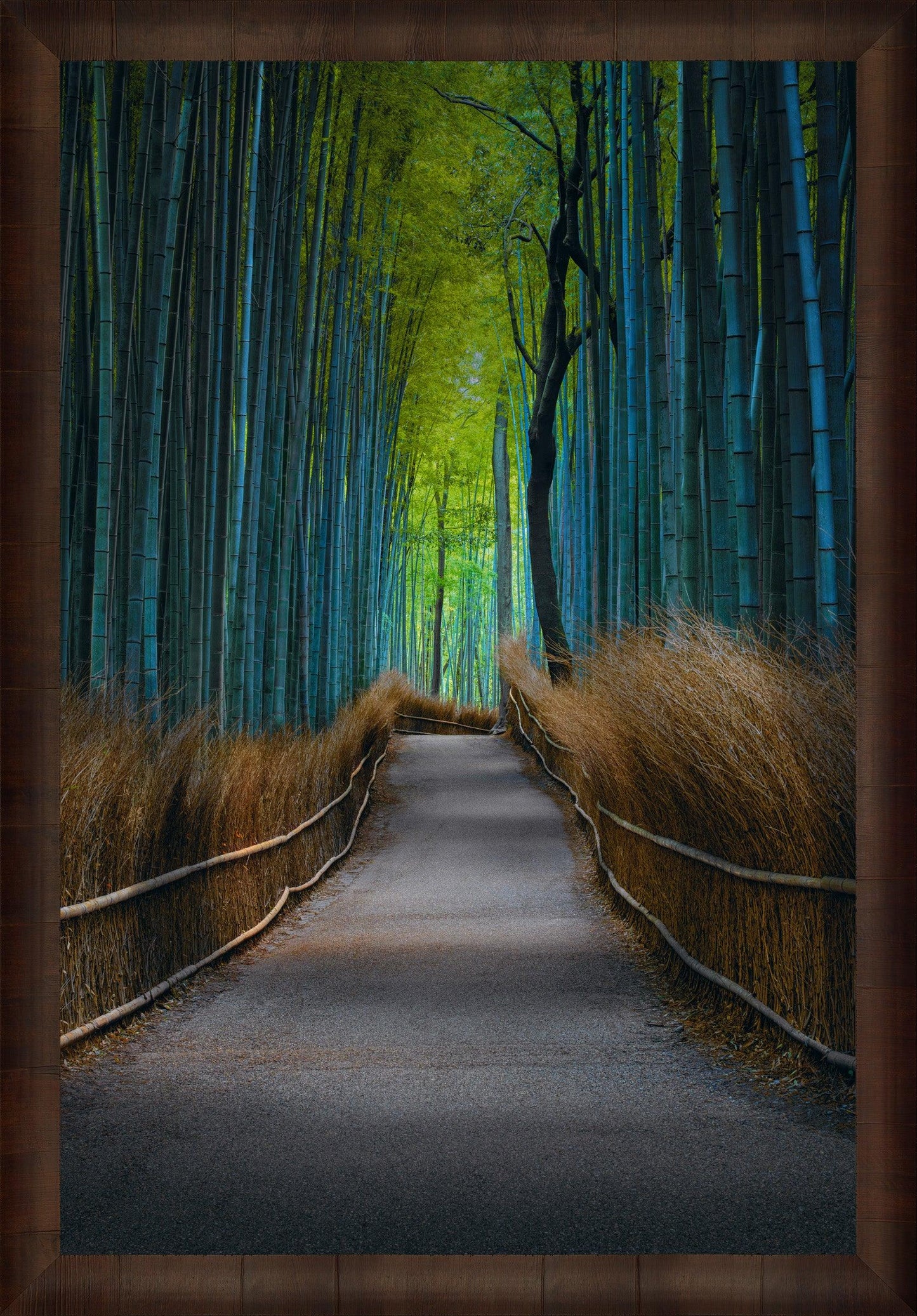 Kyoto Dreaming