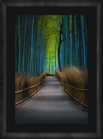 Kyoto Dreaming