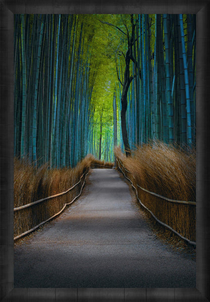Kyoto Dreaming