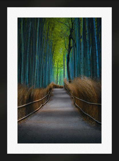 Kyoto Dreaming
