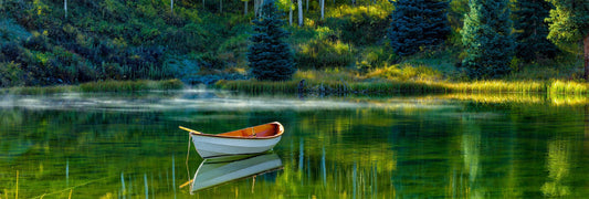 Lakeside Solitude